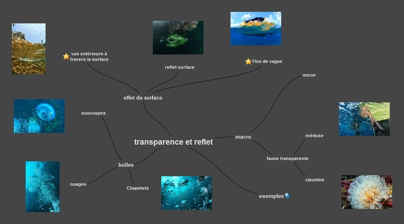 carte mentale : transparence et reflet