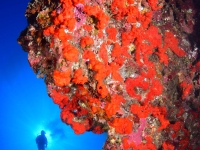 007 : catégorie ambiance, photo de la sélection présentée au jury