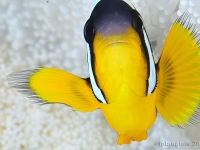 010-20250324_10h10mn04s_r3 : photo réalisée durant l&#039;entraînement