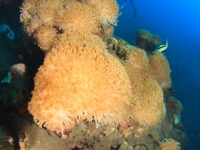 010-20250325_10h20mn09s : photo réalisée durant l&#039;entraînement