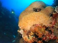 010-20250325_10h22mn30s : photo réalisée durant l&#039;entraînement