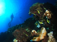 010-20250325_10h36mn54s : photo réalisée durant l&#039;entraînement