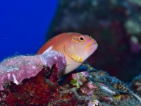 010-20250327_09h18mn14s : photo réalisée durant l&#039;entraînement