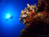 010-20250328_09h57mn33s : photo réalisée durant l&#039;entraînement