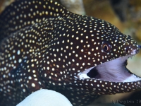 010-20250328_14h37mn35s : photo réalisée durant l&#039;entraînement