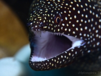 010-20250328_14h39mn11s : photo réalisée durant l&#039;entraînement