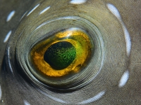 010-20250328_14h49mn49s : photo réalisée durant l&#039;entraînement