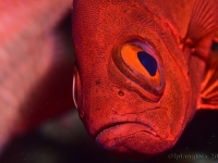 010-20250328_14h57mn18s : photo réalisée durant l&#039;entraînement