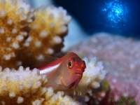 010-20250330_10h57mn05s : photo réalisée durant l&#039;entraînement