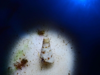 010-20250330_11h08mn55s-r3 : photo réalisée durant l&#039;entraînement