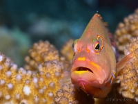 010-20250330_11h15mn55s : photo réalisée durant l&#039;entraînement