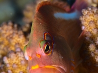 010-20250330_11h17mn24s : photo réalisée durant l&#039;entraînement