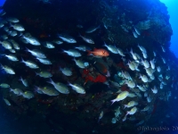 010-20250330_14h59mn26s : photo réalisée durant l&#039;entraînement