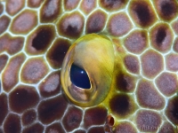 010-20250401_10h49mn42s : photo réalisée durant l&#039;entraînement