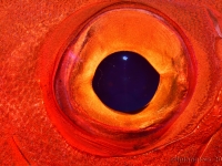 010-20250401_10h52mn57s : photo réalisée durant l&#039;entraînement