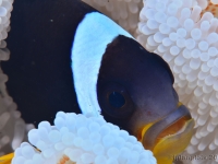 010-20250401_11h02mn40s : photo réalisée durant l&#039;entraînement