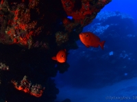 010-20250401_14h53mn10s : photo réalisée durant l&#039;entraînement