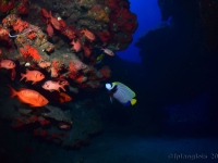 010-20250401_14h56mn46s : photo réalisée durant l&#039;entraînement