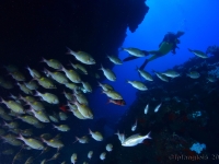 010-20250403_09h45mn41s-DSC_0027 : photo réalisée durant la compétition