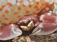 010-20250404_09h28mn47s_DSC_0034 : photo réalisée durant la compétition